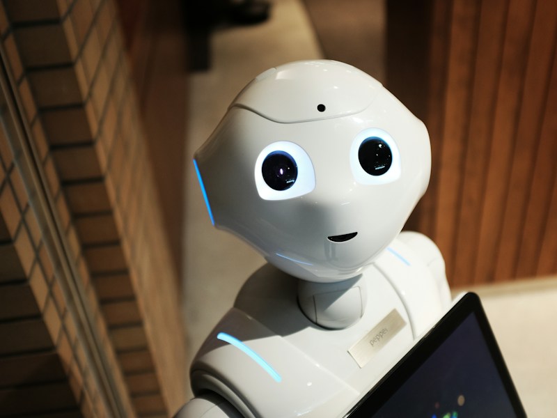 AI Chatbots & Automation